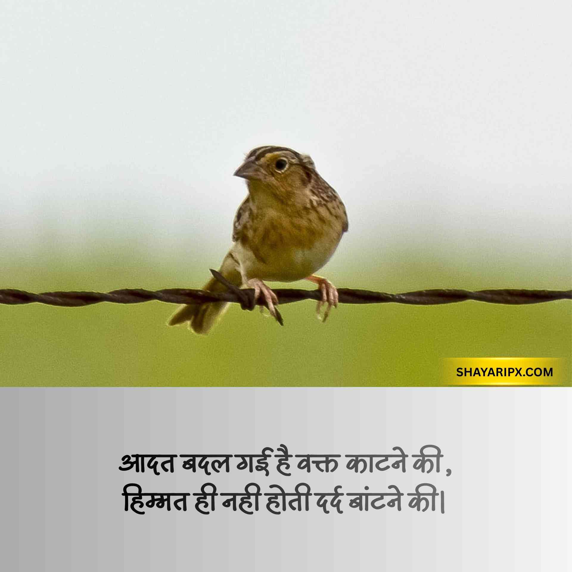 alone shayari 3
