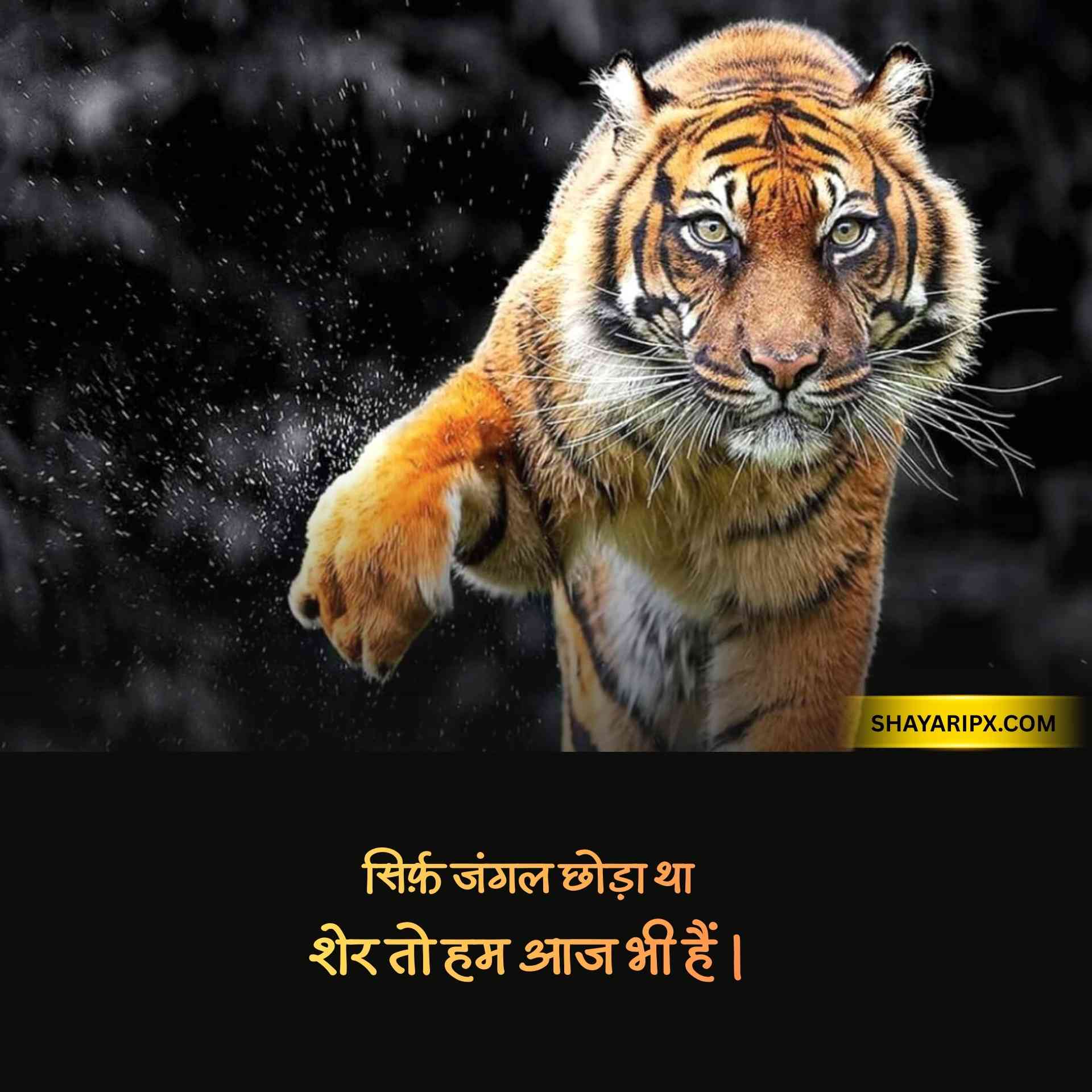 royal attitude shayari 9