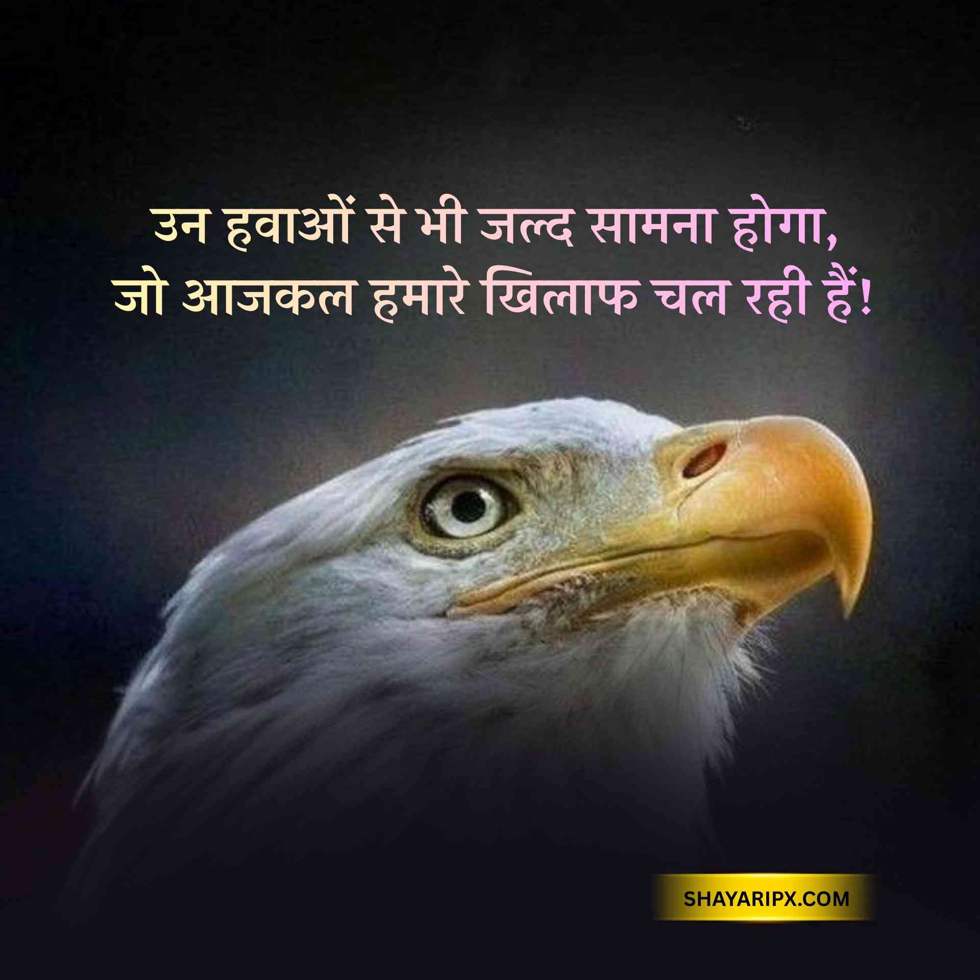 Royal Attitude Status