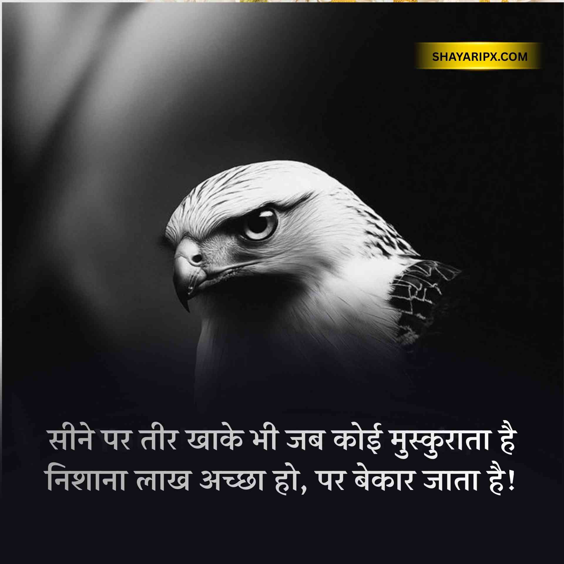 Royal Attitude Status